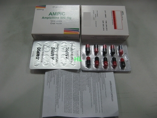 Chine L'ampicilline capsule 250MG 500MG BP/médecines pénicillines d'USP fournisseur