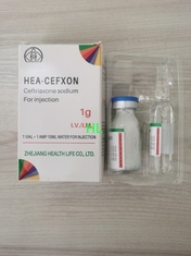 Chine Ceftriaxone poudre de sodium injectable 1,0 g fournisseur